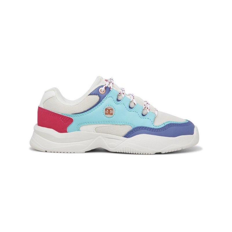 Chaussure DC Shoes Decel Grise Bleu Femme | PZE-2511822