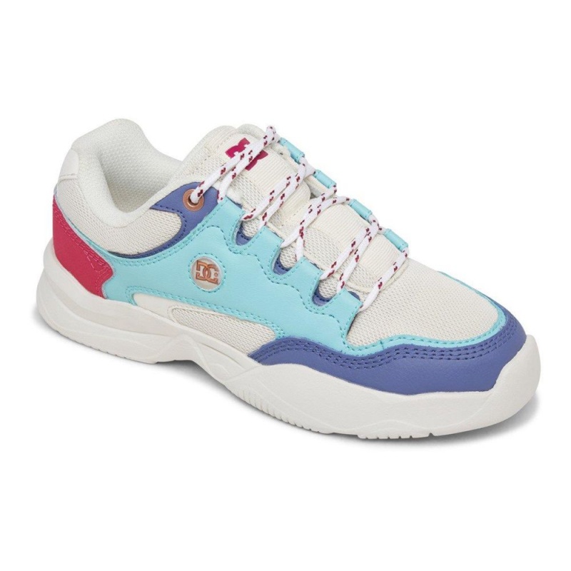 Chaussure DC Shoes Decel Grise Bleu Femme | PZE-2511822