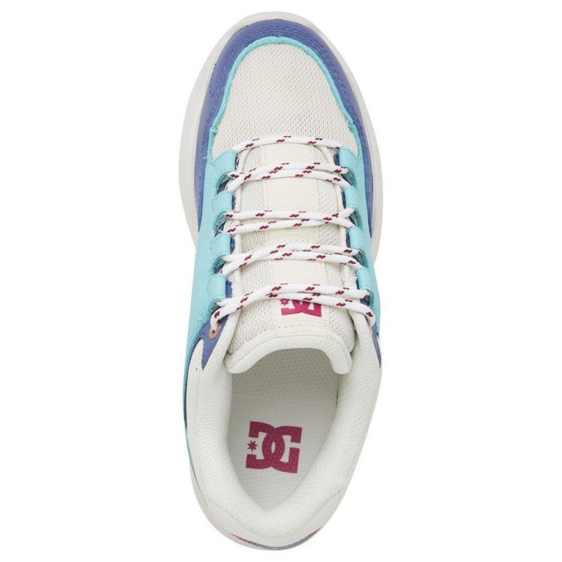 Chaussure DC Shoes Decel Grise Bleu Femme | PZE-2511822