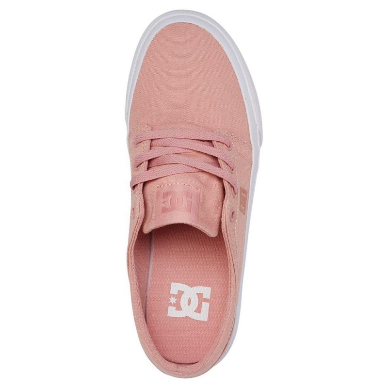 Chaussure DC Shoes Trase TX Rose Femme | SZK-9863140