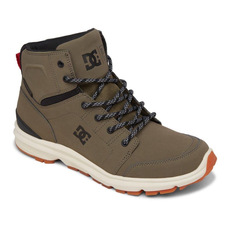 Botte DC Shoes Torstein Cuir Dentelle-Up Vert Noir Homme | EYD-5755503