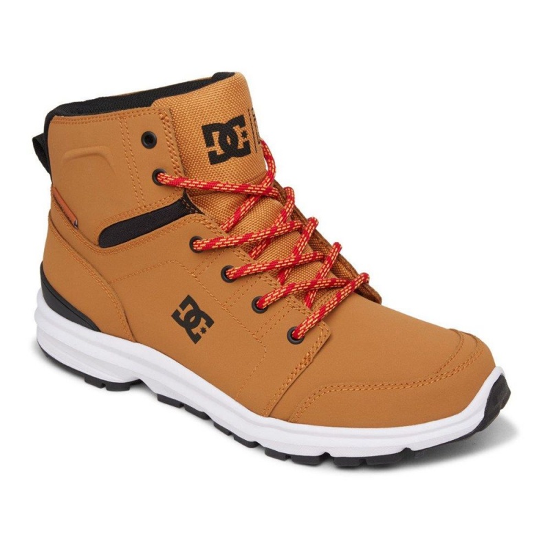 Botte DC Shoes Torstein Cuir Dentelle-Up Marron Noir Homme | GFL-8966165