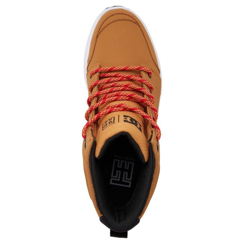 Botte DC Shoes Torstein Cuir Dentelle-Up Marron Noir Homme | GFL-8966165