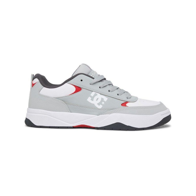 Chaussure DC Shoes Penza Grise Blanche Homme | LGO-9148383