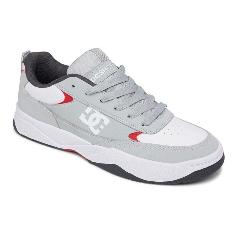 Chaussure DC Shoes Penza Grise Blanche Homme | LGO-9148383