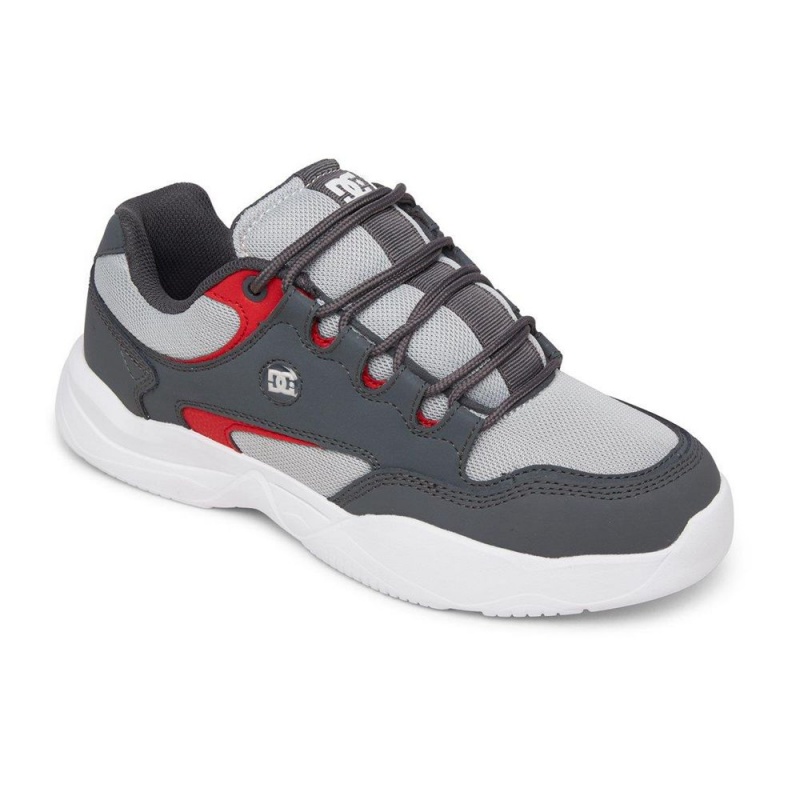 Chaussure DC Shoes Decel Grise Noir Homme | VMB-8413911