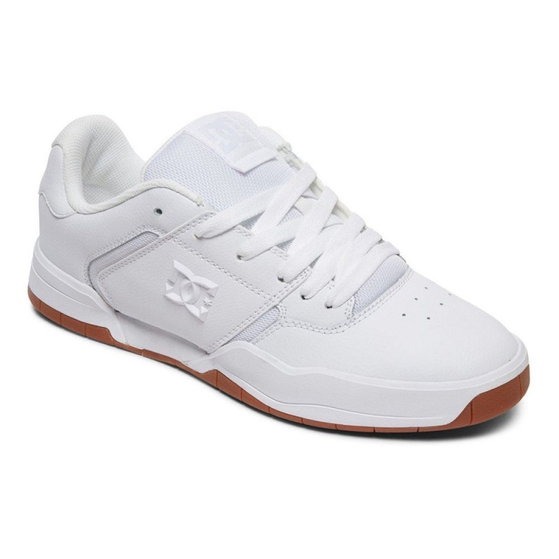 Chaussure DC Shoes Central Cuir Blanche Homme | UVZ-0942465