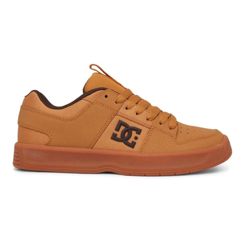 Chaussure DC Shoes Lynx Zero Cuir Marron Homme | KYZ-7940596