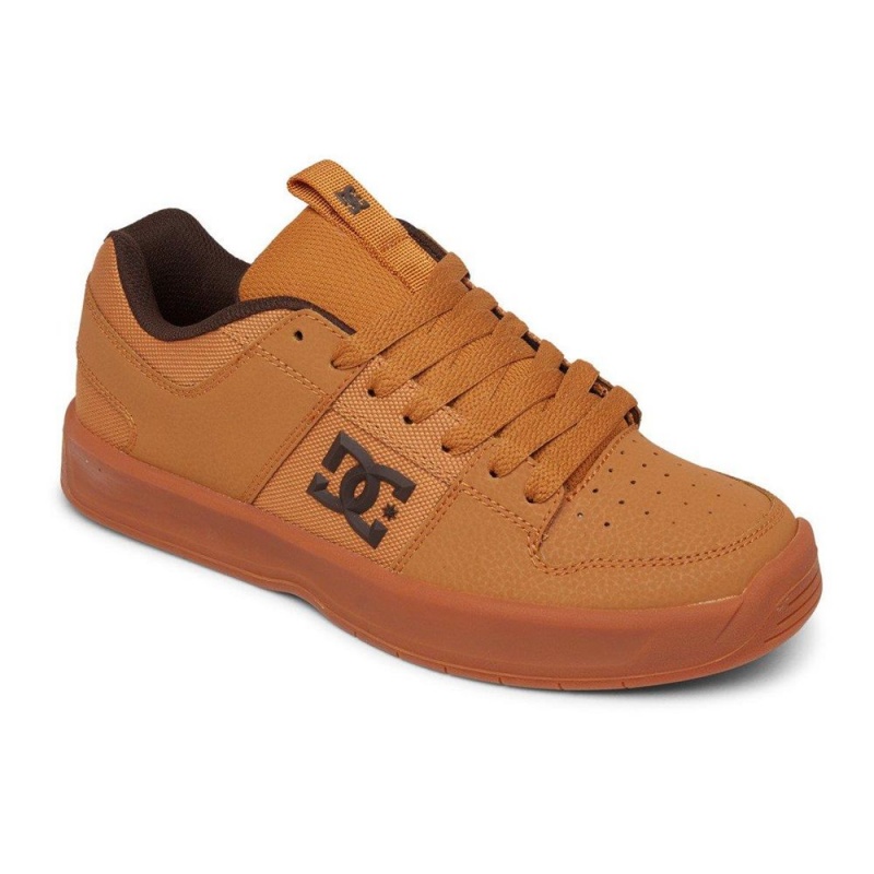 Chaussure DC Shoes Lynx Zero Cuir Marron Homme | KYZ-7940596