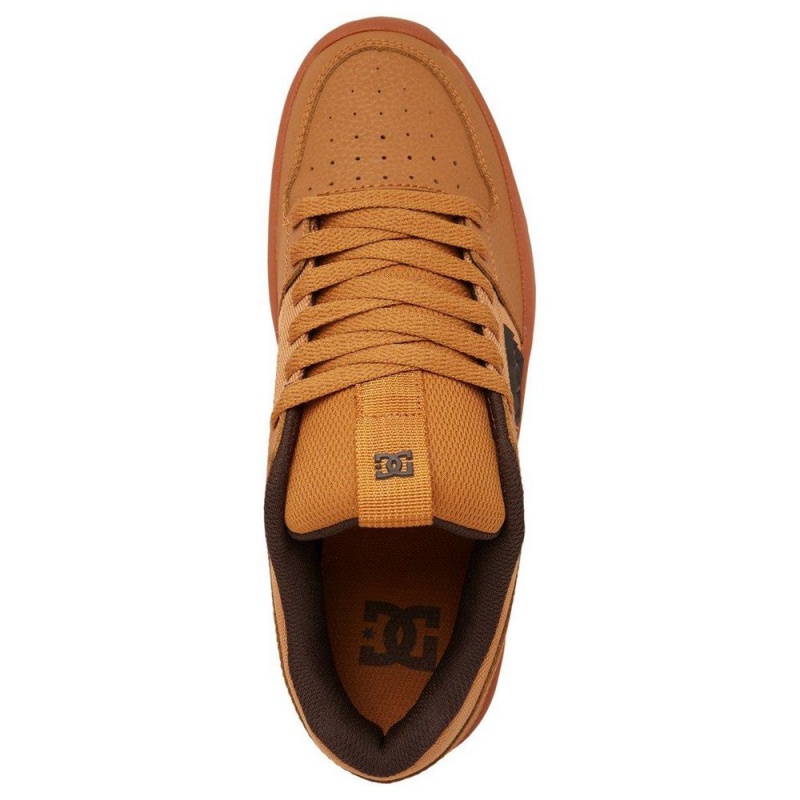 Chaussure DC Shoes Lynx Zero Cuir Marron Homme | KYZ-7940596