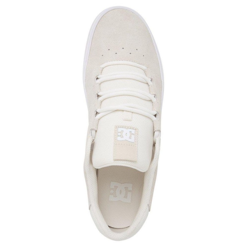 Chaussure DC Shoes Hyde Cuir Grise Homme | HFF-3362683