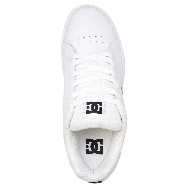 Chaussure DC Shoes Gaveler Blanche Noir Homme | ABV-1354582