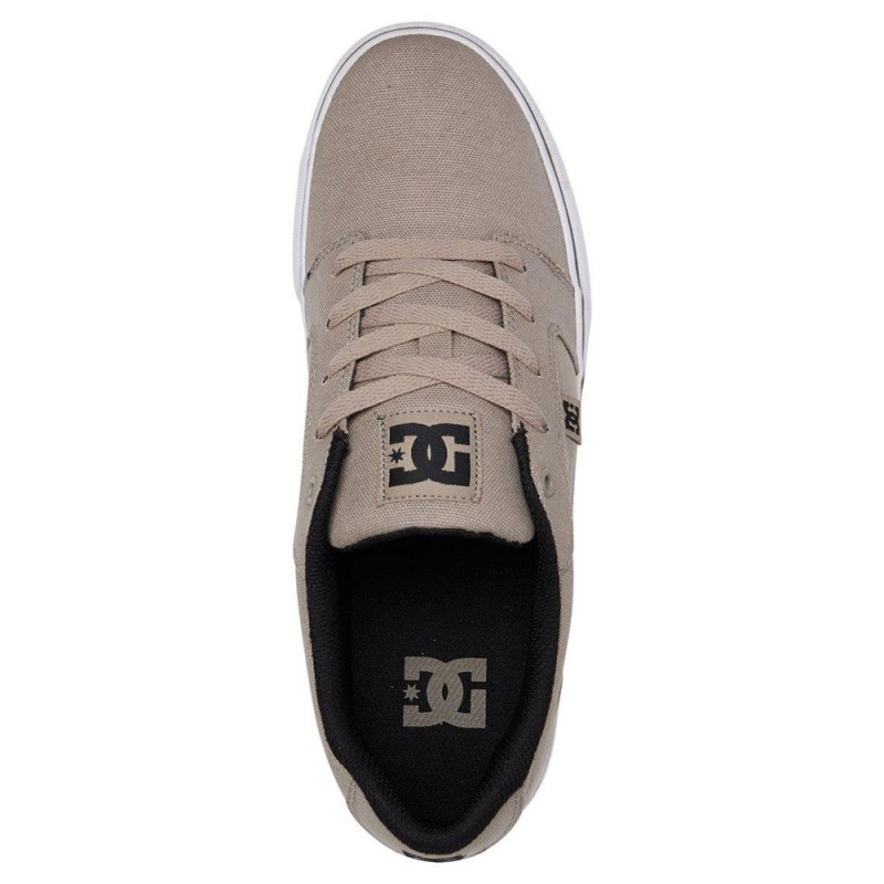 Chaussure DC Shoes Anvil TX Grise Homme | RXC-0941782