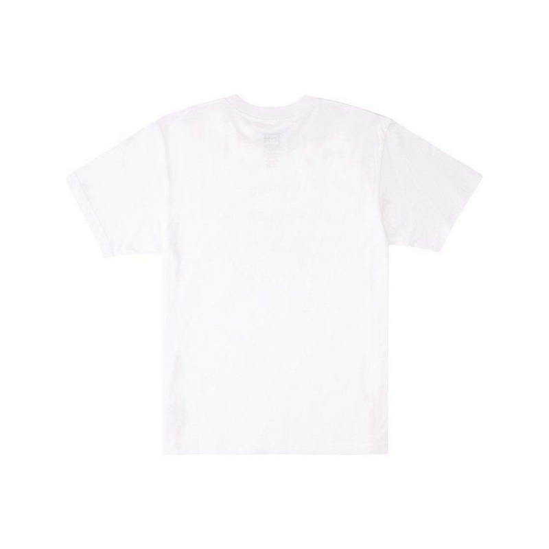 T-Shirt DC Shoes Star Pilot Blanche Homme | FXK-0543005