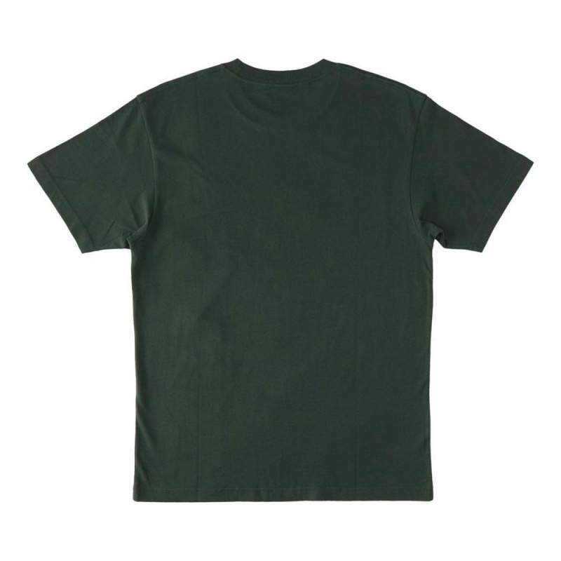 T-Shirt DC Shoes Star Vert Homme | RWZ-3464271