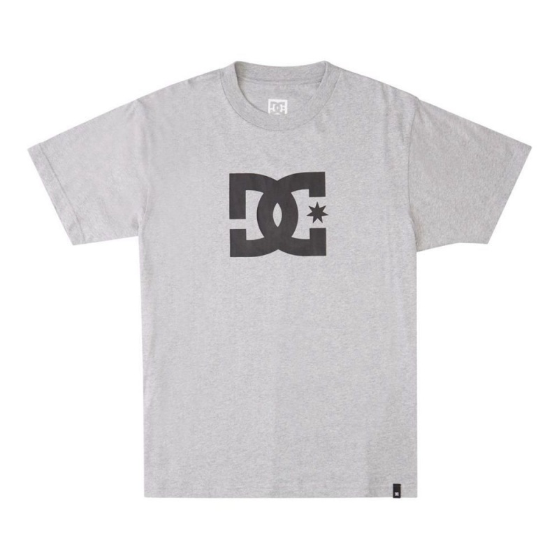 T-Shirt DC Shoes Star Grise Homme | UHE-5066117