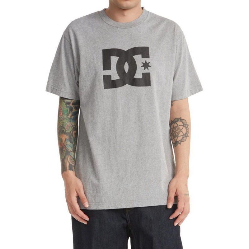 T-Shirt DC Shoes Star Grise Homme | UHE-5066117