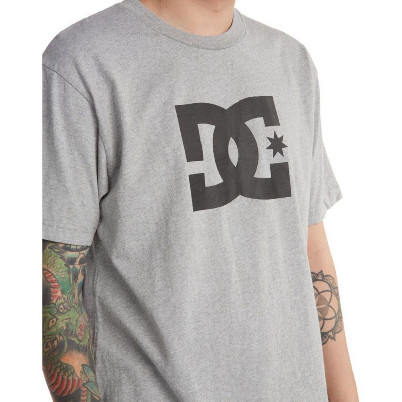 T-Shirt DC Shoes Star Grise Homme | UHE-5066117