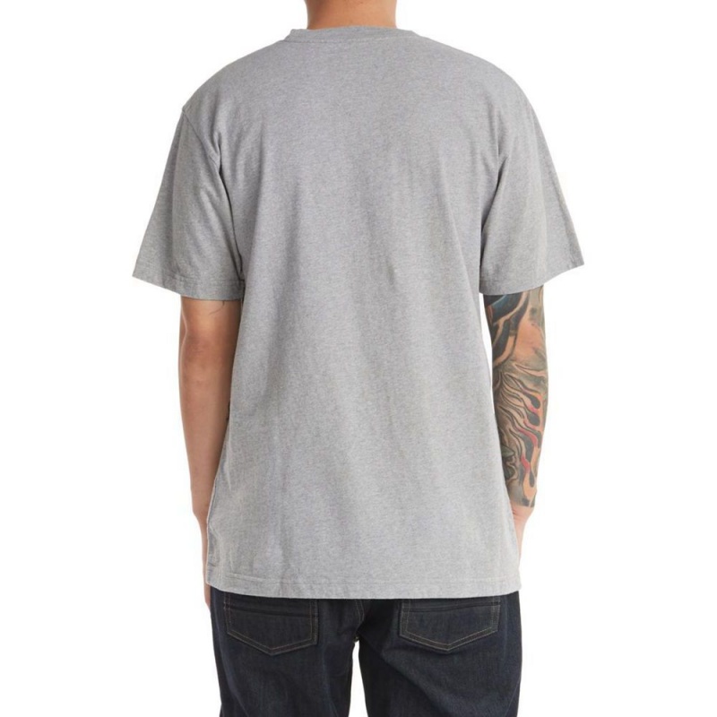 T-Shirt DC Shoes Star Grise Homme | UHE-5066117