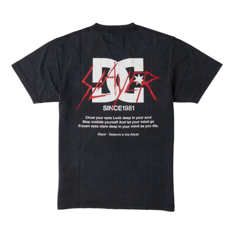 T-Shirt DC Shoes Slayer 1981 Noir Homme | CRH-2564672