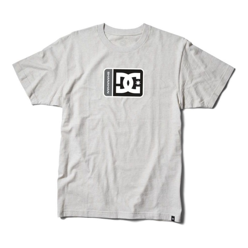 T-Shirt DC Shoes Shanahan Blanche Homme | ESW-5023024