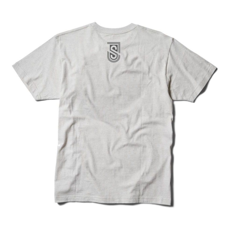 T-Shirt DC Shoes Shanahan Blanche Homme | ESW-5023024