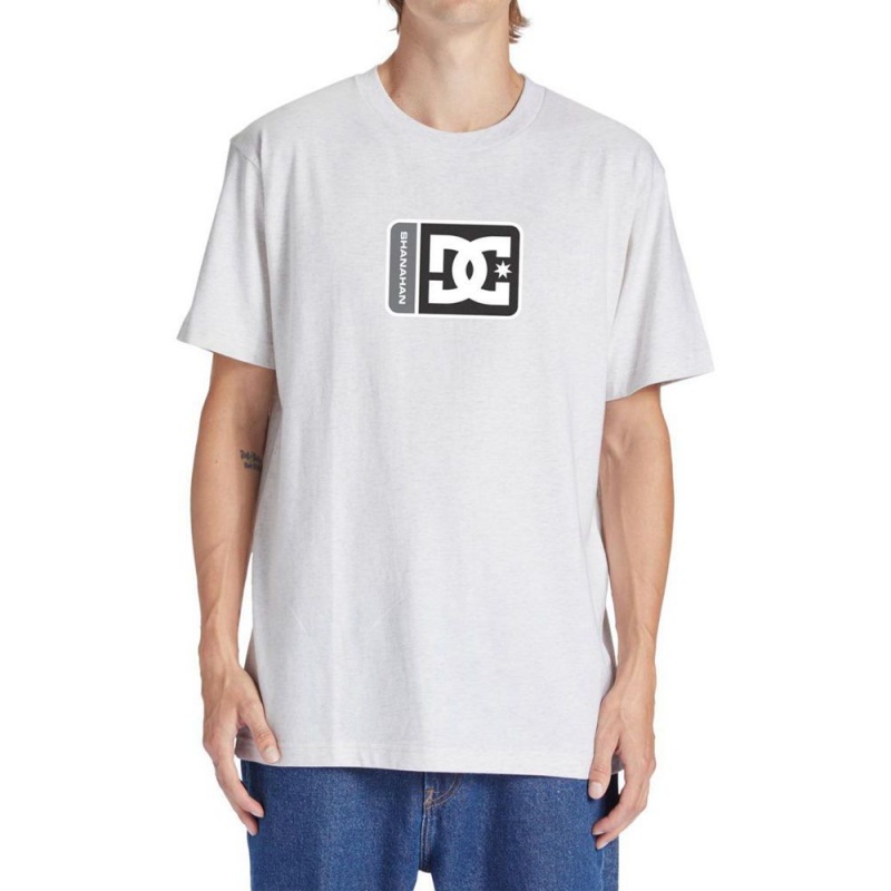 T-Shirt DC Shoes Shanahan Blanche Homme | ESW-5023024