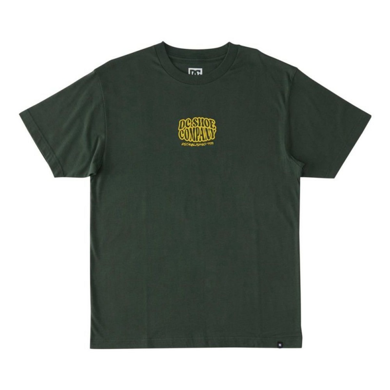 T-Shirt DC Shoes Bulgy Vert Homme | WCH-0777860