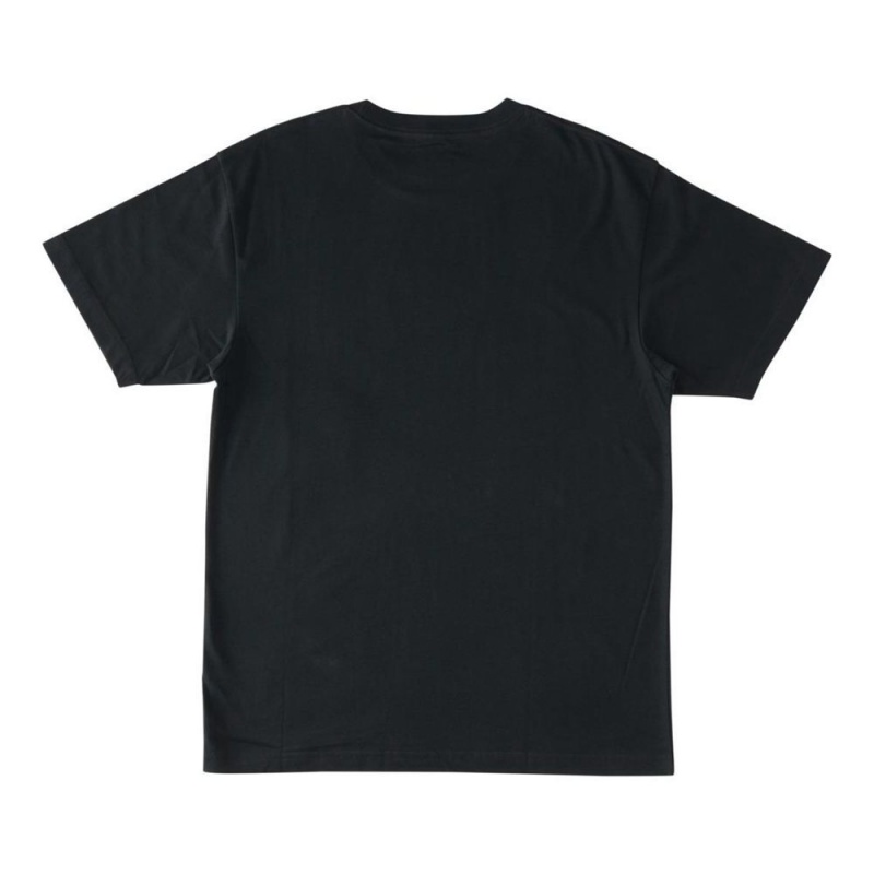 T-Shirt DC Shoes Bulgy Noir Homme | ROT-6430264