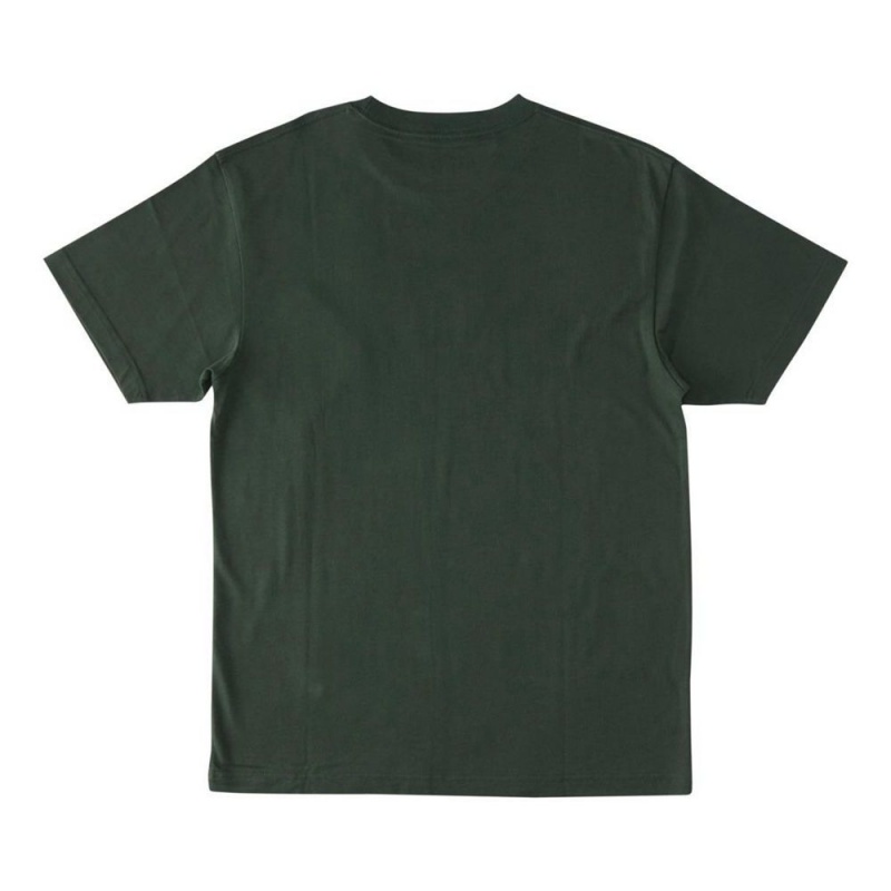 T-Shirt DC Shoes Bulgy Vert Homme | WCH-0777860