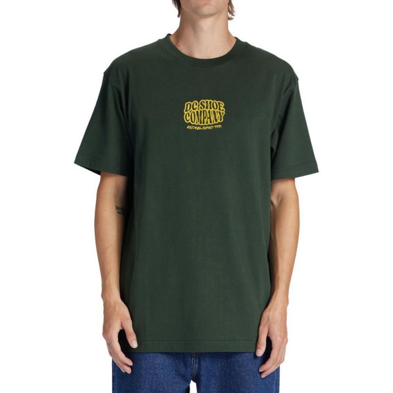 T-Shirt DC Shoes Bulgy Vert Homme | WCH-0777860