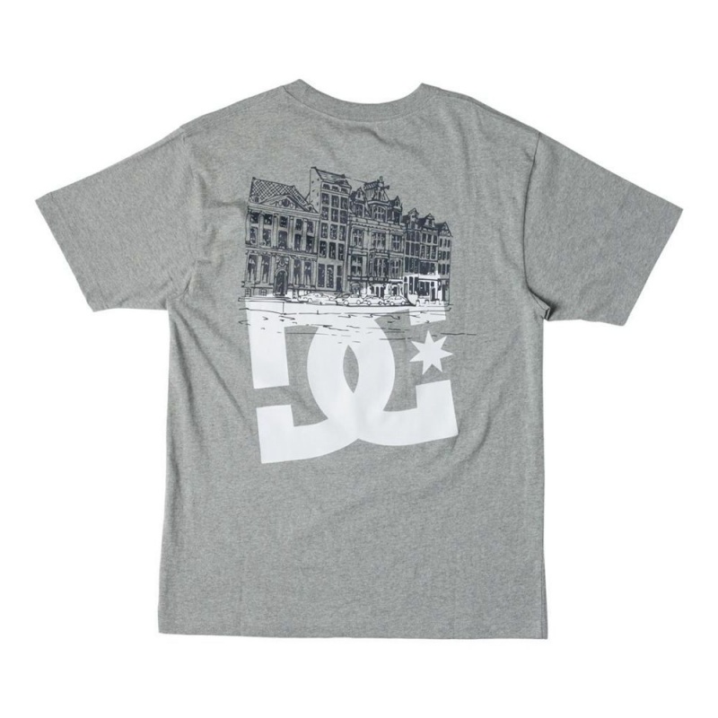 T-Shirt DC Shoes Ben-G Amsterdam Grise Homme | WES-9440564