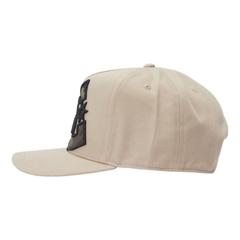 Chapeau DC Shoes Heardnotts Snapback Beige Homme | AJA-8738560