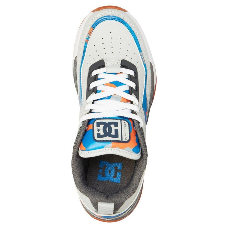 Chaussure DC Shoes E.Tribeka SE Grise Bleu Enfant | OLW-6600675