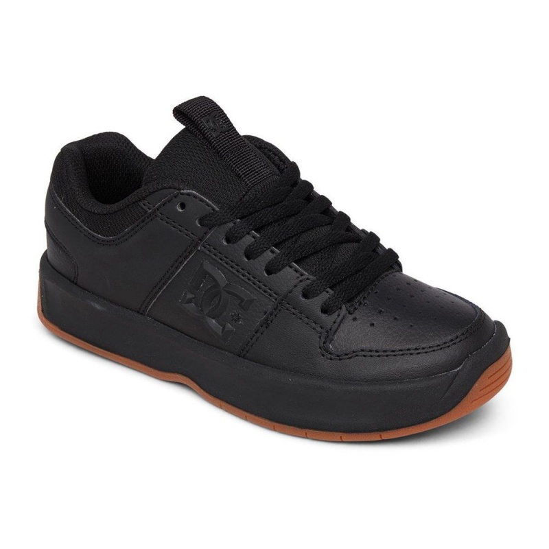 Chaussure DC Shoes Lynx Zero Cuir Noir Enfant | THI-9118030