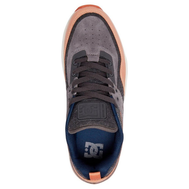 Chaussure DC Shoes E.Tribeka SE Grise Marron Homme | KZM-6552038